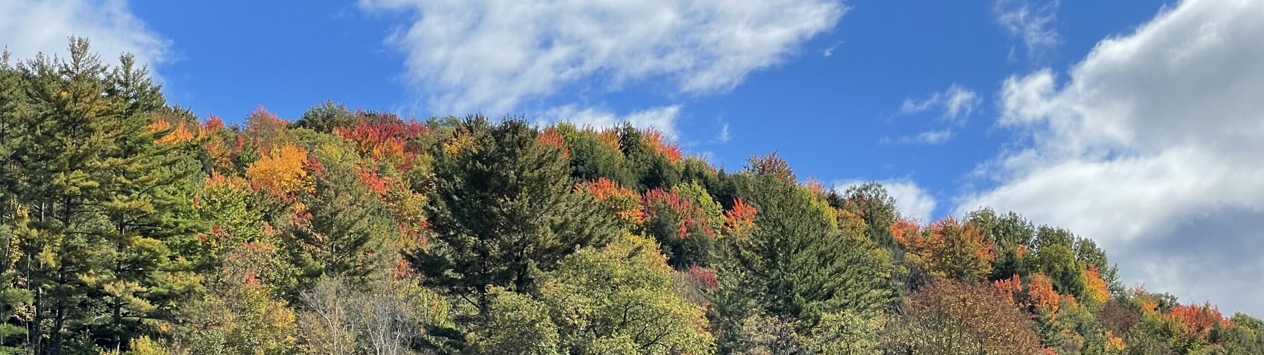Vermont hillside in fall color under a blue sky